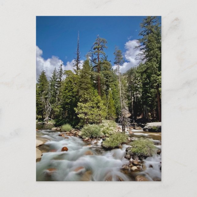 Yosemite National Park, Kalifornien Postkarte (Vorderseite)