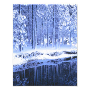 YOSEMITE NATIONAL PARK, KALIFORNIEN. USA. Fresh Fotodruck