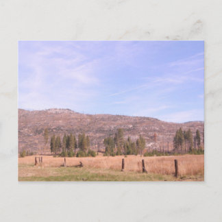 Yosemite Nationalpark in Kalifornien PostCard Postkarte