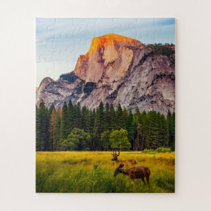 Yosemite Nationalpark Kalifornien Berg Wildtiere