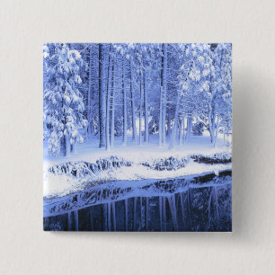 YOSEMITE NATIONALPARK, KALIFORNIEN. USA. Frisch Button