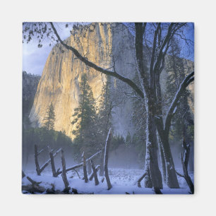 YOSEMITE-NATIONALPARK, KALIFORNIEN. USA. Licht Magnet