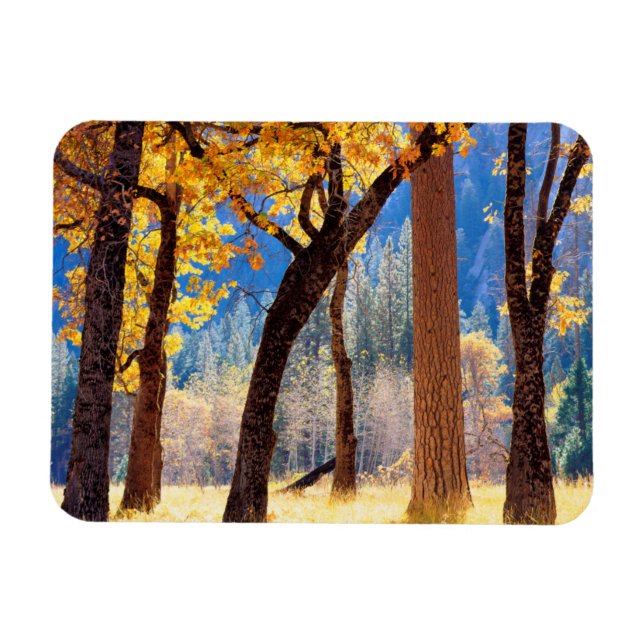 Yosemite-Nationalpark Magnet (Horizontal)