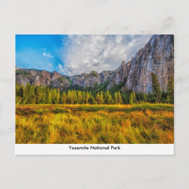 Yosemite Nationalpark Post Card Postkarte (Vorderseite)