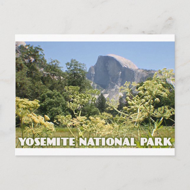 Yosemite-Nationalpark Postkarte (Vorderseite)
