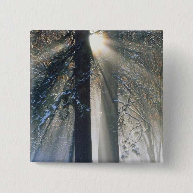 Yosemite-Nationalpark - Sonnenstrahlen streaming Button (Vorderseite)
