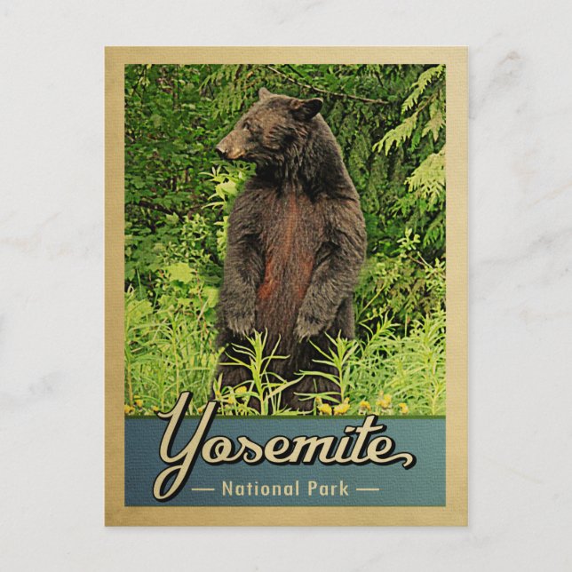 Yosemite Nationalpark Vintag Bären Postkarte (Vorderseite)