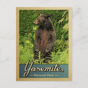Yosemite-Nationalpark Vintage-Bär Postkarte