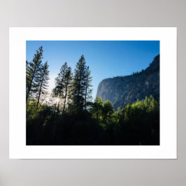 Yosemite Sunlit Trees Color Fotografy Poster