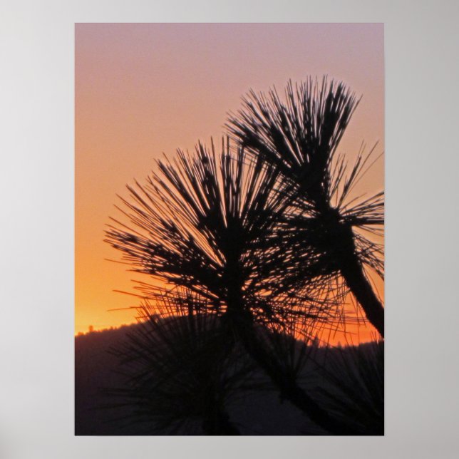 Yosemite Sunset Poster (Vorne)