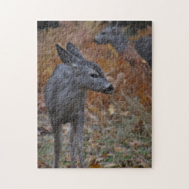 Yosemite Valley Fawn (Vertikal)