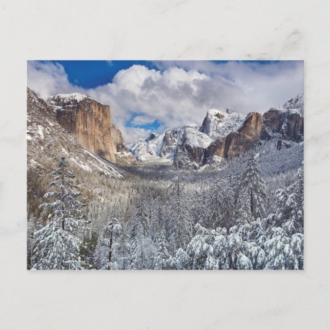 Yosemite Valley in Snow Postkarte (Vorderseite)