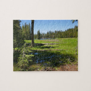 Yosemite-Wiese mit Sternschnuppen