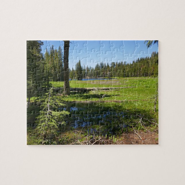 Yosemite-Wiese mit Sternschnuppen (Horizontal)