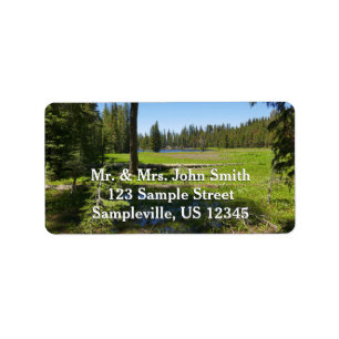 Yosemite-Wiese mit Sternschnuppen Adressaufkleber