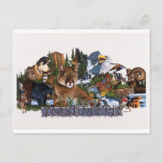 Yosemite Wildlife Postkarte