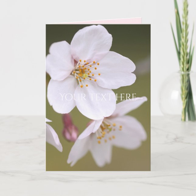 Yoshino Cherry: Faltete Karten (Vorderseite)