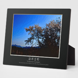 Yoshino Cherry Fotoplatte