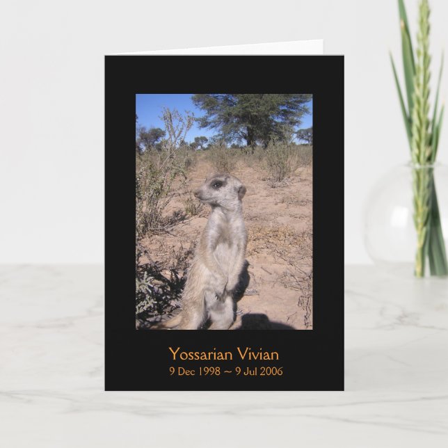 Yossarian - carte de légendes (Devant)