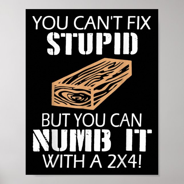 You Can't Fix Stud But You Can Numb It With A 2x4  Poster (Vorne)