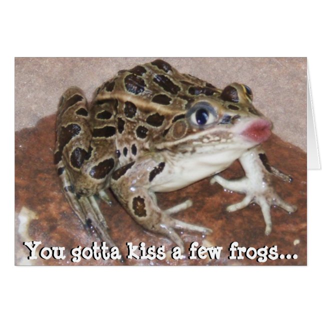 You Gotta kiss a few Frogs (Vorderseite (Horizontal))