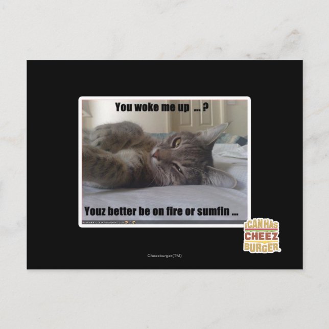 You woke me up postkarte (Vorderseite)