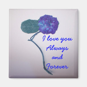 youAlways Liebe des Magneten I und für immer Magnet