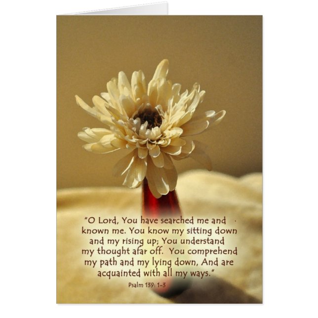 YouhavesearchedmeZazzle (Devant)