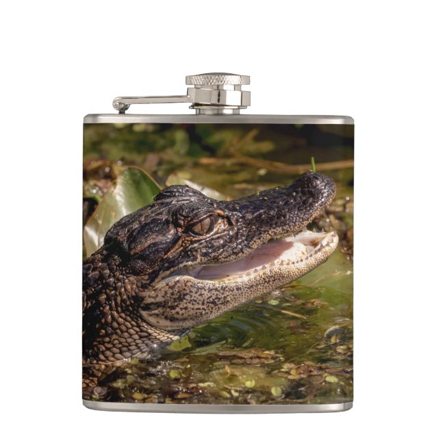 Young Alligator Flachmann (Vorderseite)