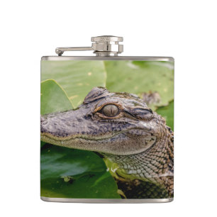 Young Alligator Flachmann