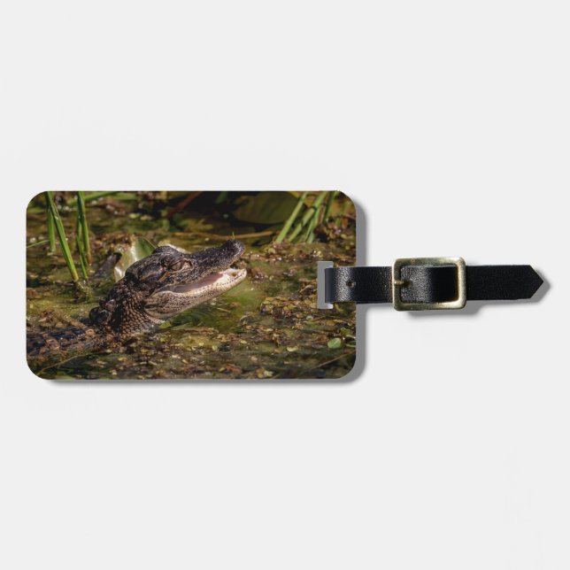 Young Alligator Gepäckanhänger (Vorderseite horizontal)
