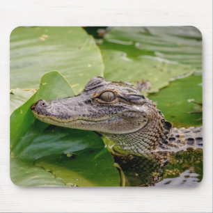 Young Alligator Mousepad