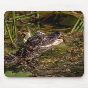 Young Alligator Mousepad