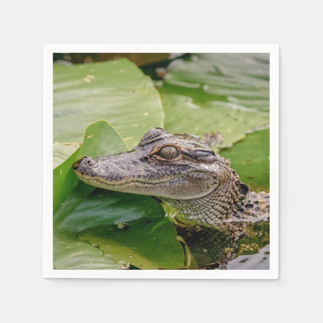 Young Alligator Serviette (Vorderseite)
