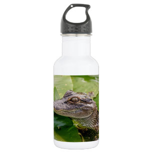 Young Alligator Trinkflasche
