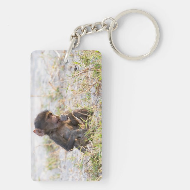 Young Baboon (Dos)