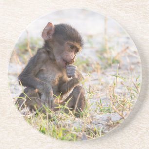 Young Baboon Getränkeuntersetzer