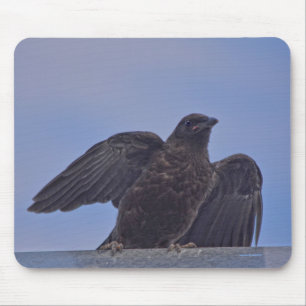 Young Black Raven on Quesnel Bridge w Sky Mousepad