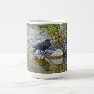 Young Black Raven reflektiert in Pool Kaffeetasse