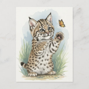 Young Bobcat Kitten Cat Baby Wild Animes Postcard Postkarte