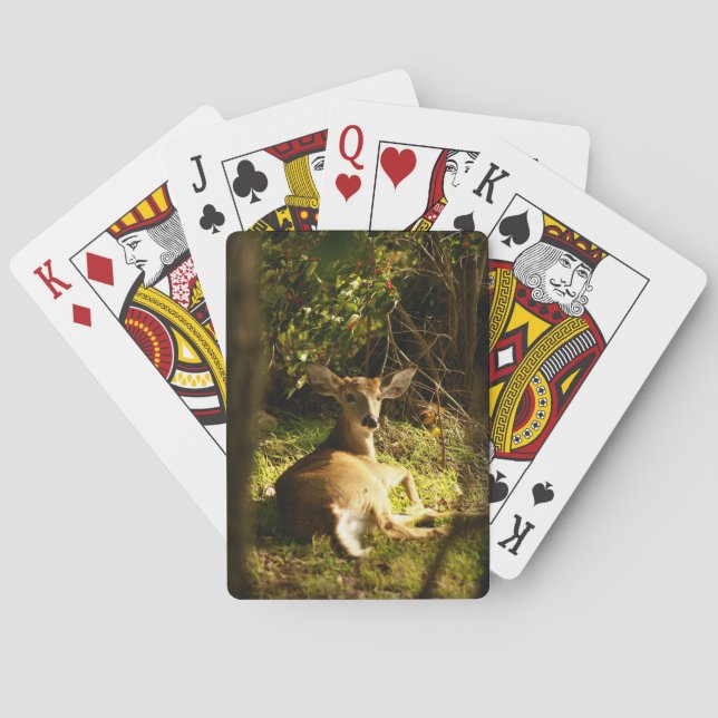 Young Buck Bicycle Playing Cards Spielkarten (Rückseite)