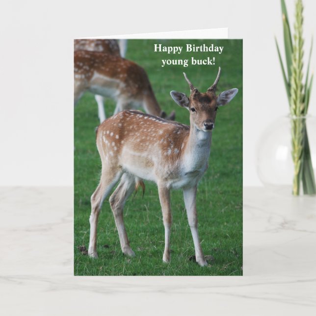 Young Buck Birthday Card Karte (Vorderseite)