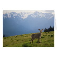 Young Buck et Mt. Olympus Peaks