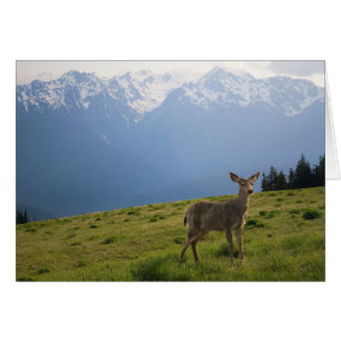 Young Buck et Mt. Olympus Peaks