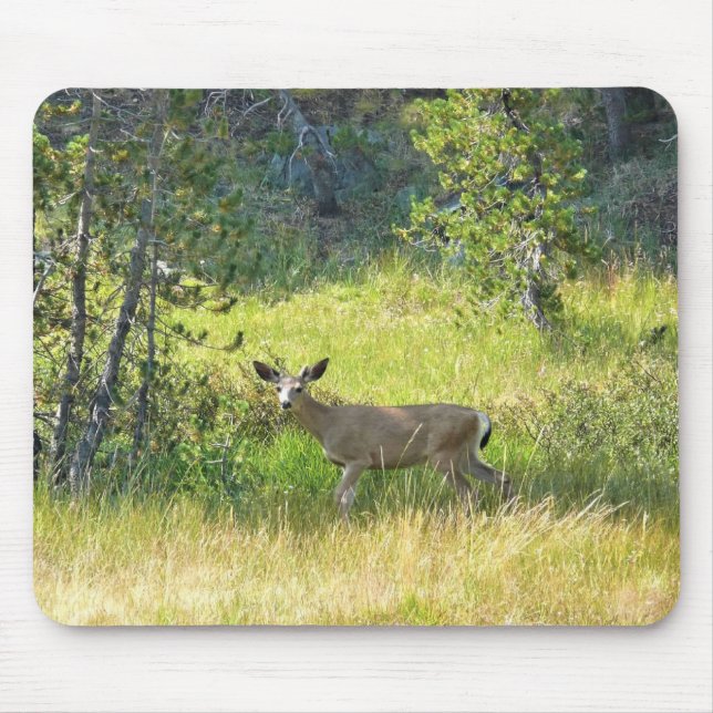 Young Buck in Yosemite, CA Mousepad (Vorne)