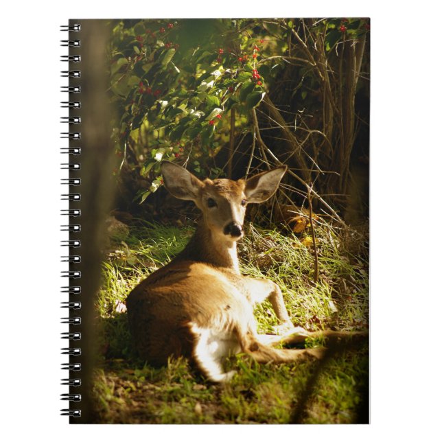 Young Buck Spiral Foto Notebook Notizblock (Vorderseite)