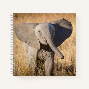Young Bush Elephant Notizbuch