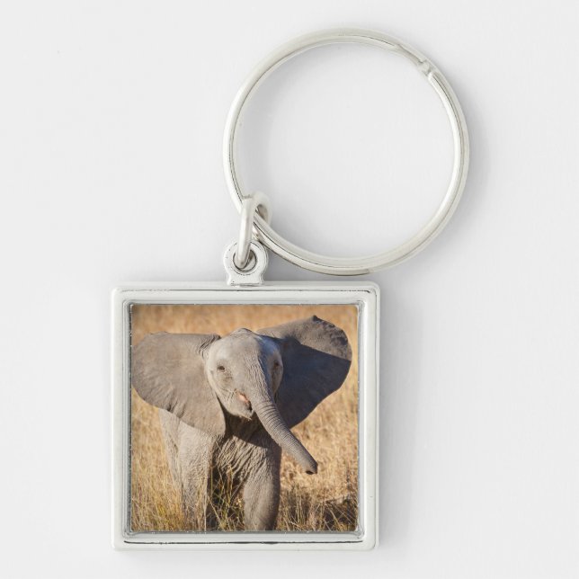 Young Bush Elephant Schlüsselanhänger (Vorne)