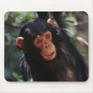 Young Chimpanzee Mousepad