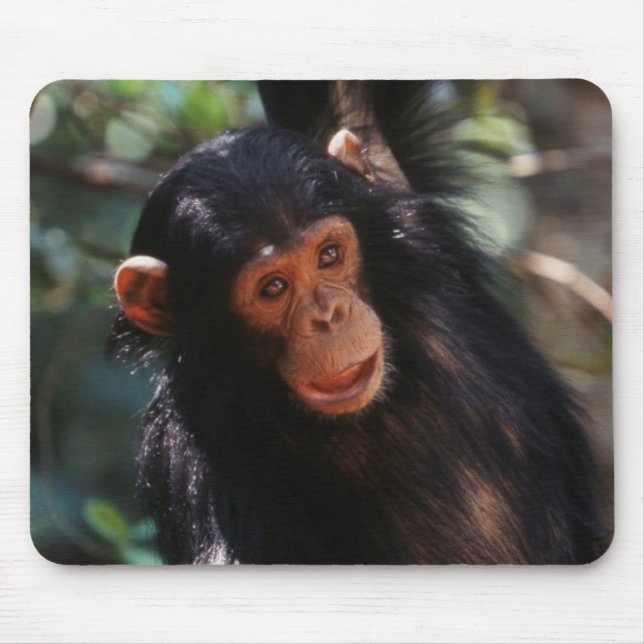 Young Chimpanzee Mousepad (Vorne)